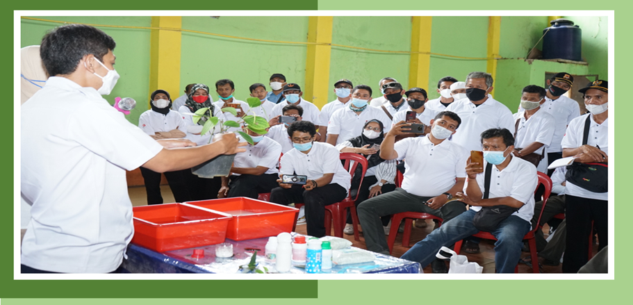 Balai Bioteknologi Dorong Potensi Pertanian Melalui Teknologi Ex Vitro